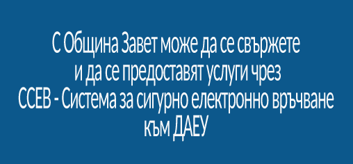 ssev_daeu.png
